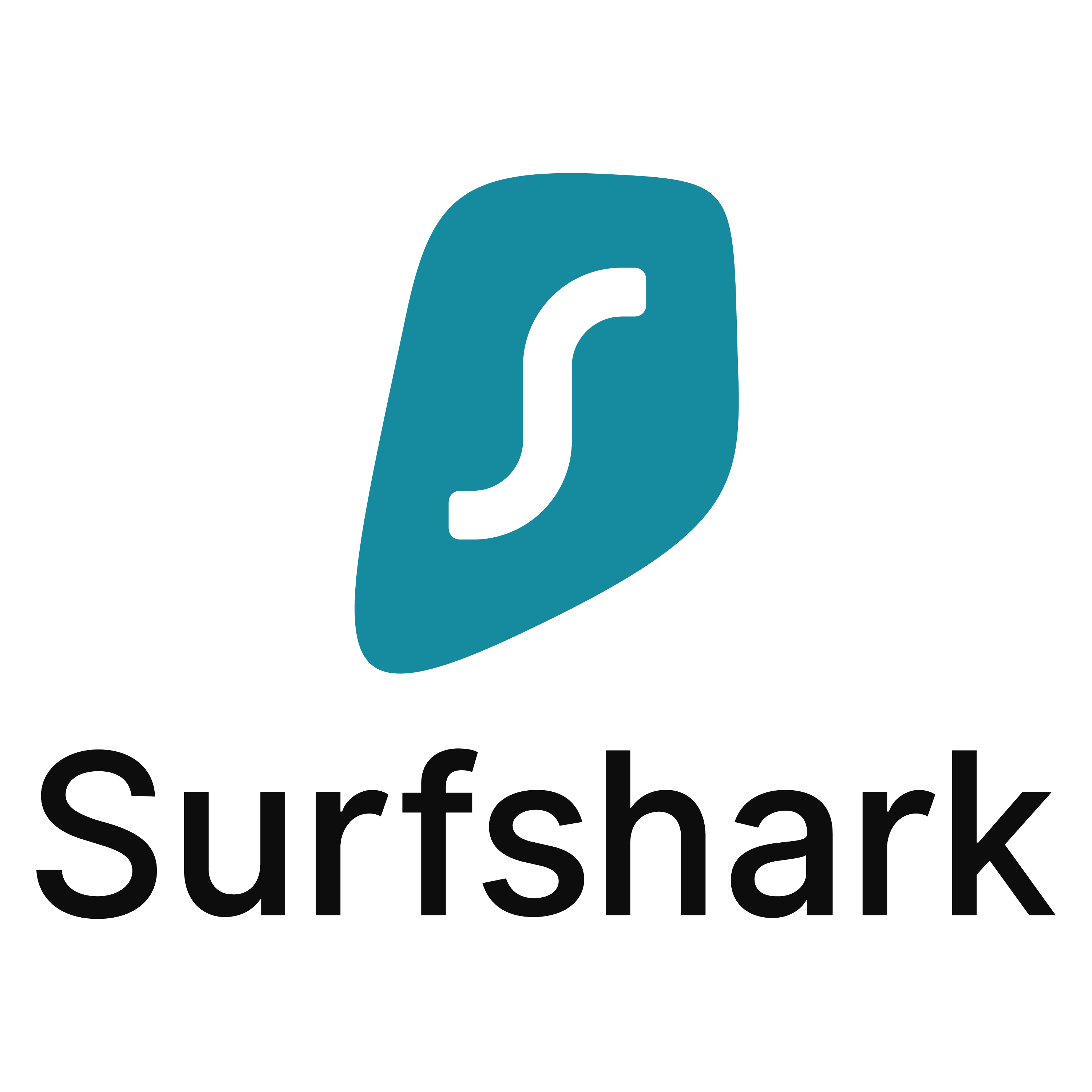 Surfshark Subscription
