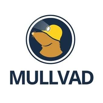 Mullvad Subscription