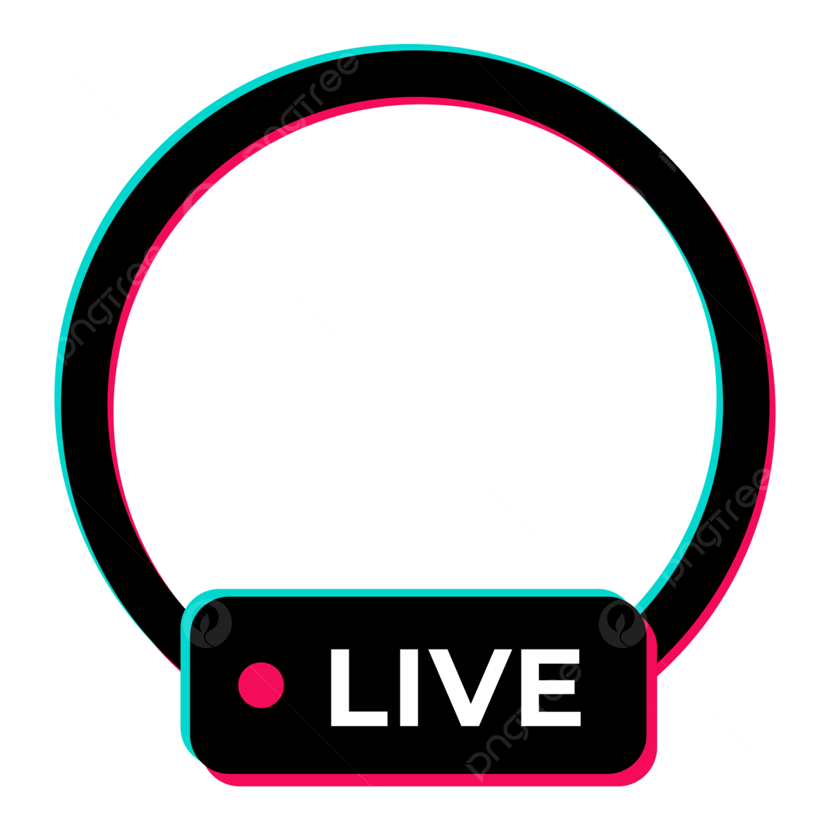 TikTok Live Viewers
