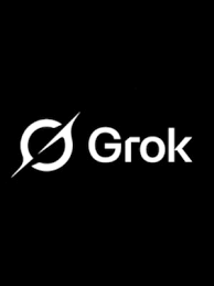 Super Grok - 1 Year