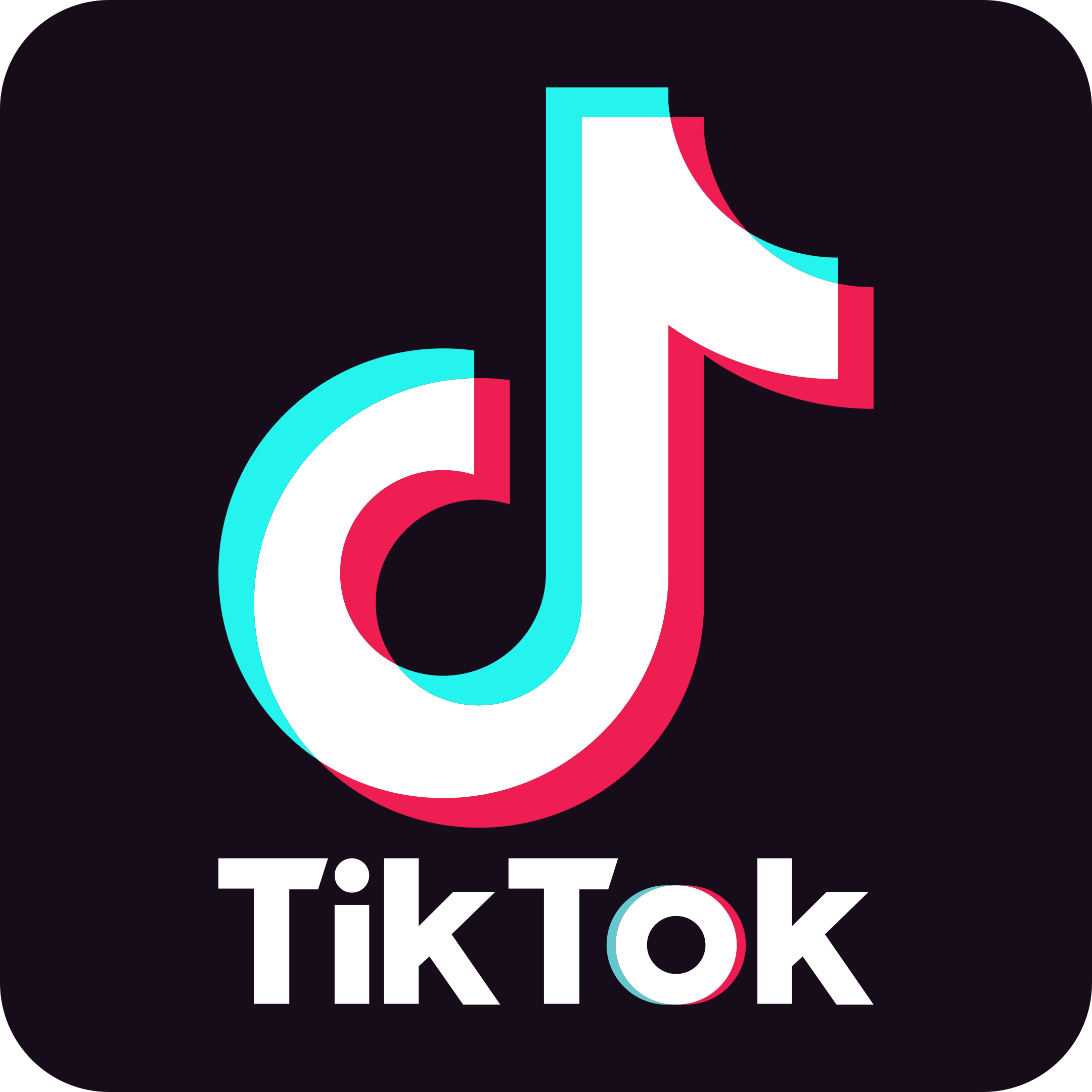 TikTok Favorites