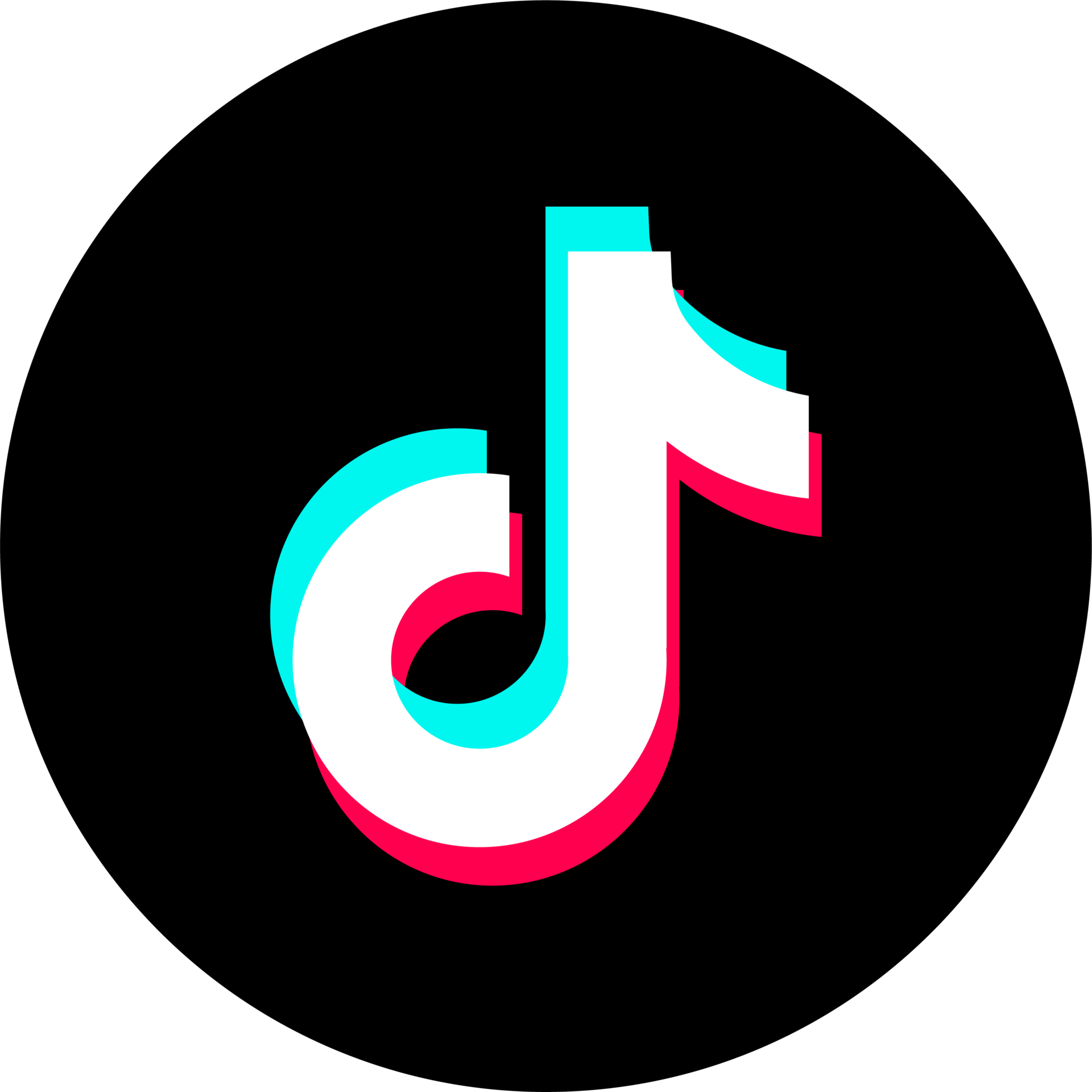 TikTok Accounts